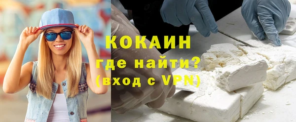 стаф Богданович