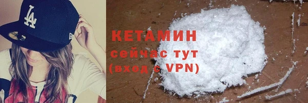 стаф Богданович