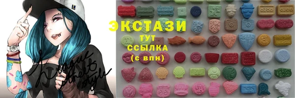 стаф Богданович
