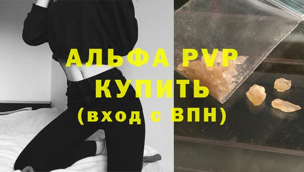 стаф Богданович