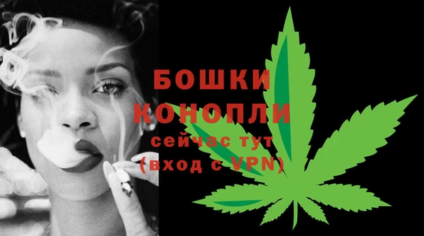 гидра Богородицк