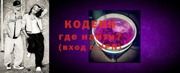 гидра Богородицк