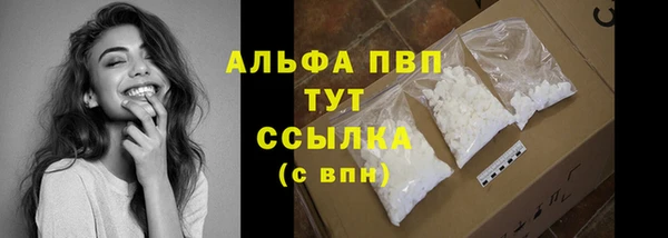 стаф Богданович