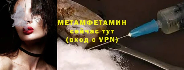 стаф Богданович