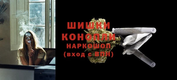 гидра Богородицк