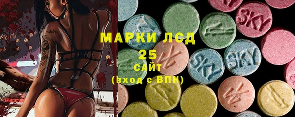 гидра Богородицк
