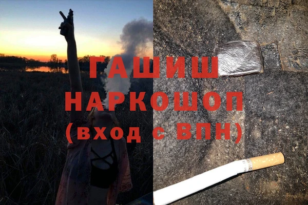 стаф Богданович