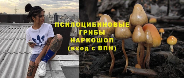 ALPHA-PVP Богородск