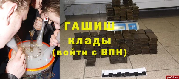 стаф Богданович