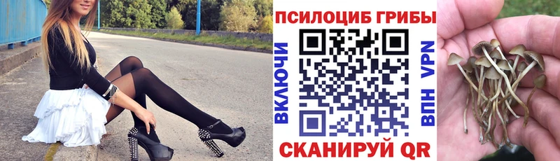 Галлюциногенные грибы мухоморы  Купить  Новый Оскол 